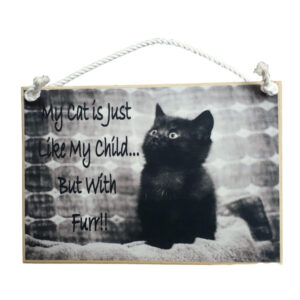 Country Printed Quality Wooden Hanging Sign CAT IS LIKE MY CHILD Plaque New