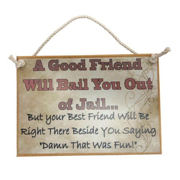 Country Printed Quality Wooden Sign Good Friend In Jail Plaque