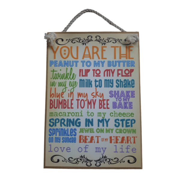 Country Printed Quality Wooden Sign YOU ARE MY PEANUT Funny Inspiring Plaque New