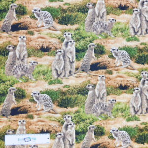 Patchwork Quilting Sewing Fabric AFRICAN MEERKATS Material 50x55cm FQ Cotton New