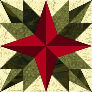 Quilting Patchwork Sewing Template Prairie Star Meredith Clark New