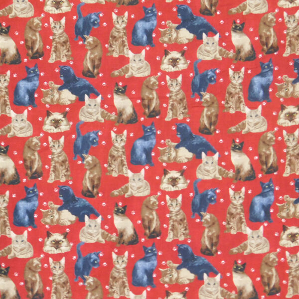Patchwork Quilting Sewing Fabric MY PET FAMILY CATS 50x55cm FQ New