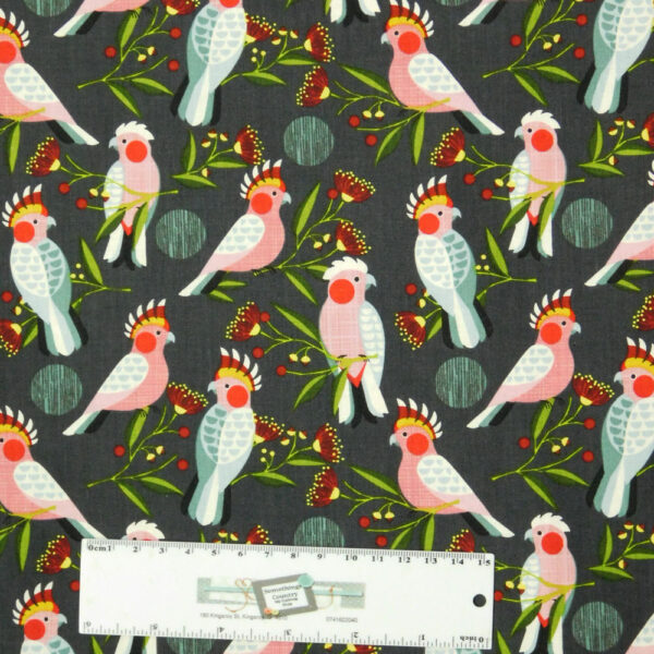 Patchwork Quilting Sewing Fabric AUSSIE GALAH BIRDS 50x55cm FQ New Material