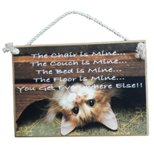 Country Printed Quality Wooden Hanging Sign Cat The Chair Is Mine Plaque New