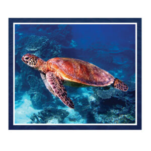 Patchwork Quilting Sewing Fabric GREAT BARRIER REEF TURTLE 2 Panel 90x110cm New