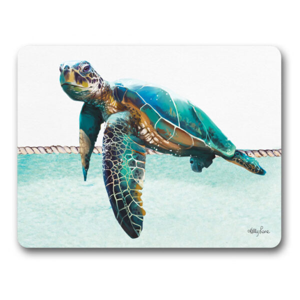 Kitchen Cork Backed Placemats AND Coasters SEA TURTLE ELLIOT Set 6 New