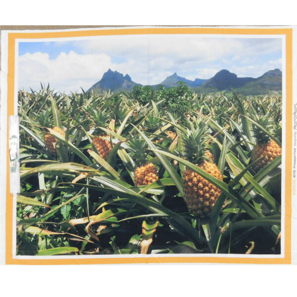 Patchwork Quilting Sewing Fabric PINEAPPLE FARM SUNNY COAST Panel 90x110cm New