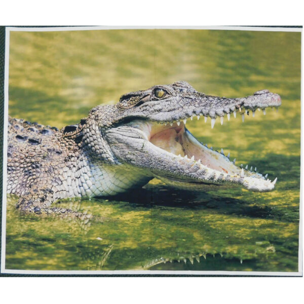 Patchwork Quilting Sewing Fabric CROCODILE Panel 90x110cm New Material