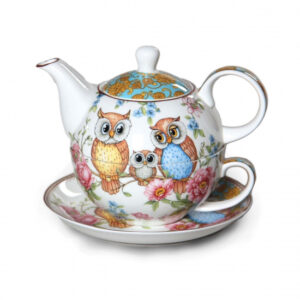 Elegant Kitchen China Teapot and Cup OWLS Tea For One Set