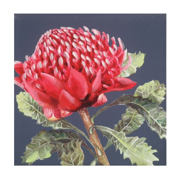 French Country Canvas Floral Print Australian WARATAH 2 50x50cm