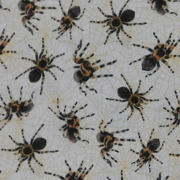 Patchwork Quilting Sewing Fabric TARANTULA SPIDERS 50x55cm FQ New