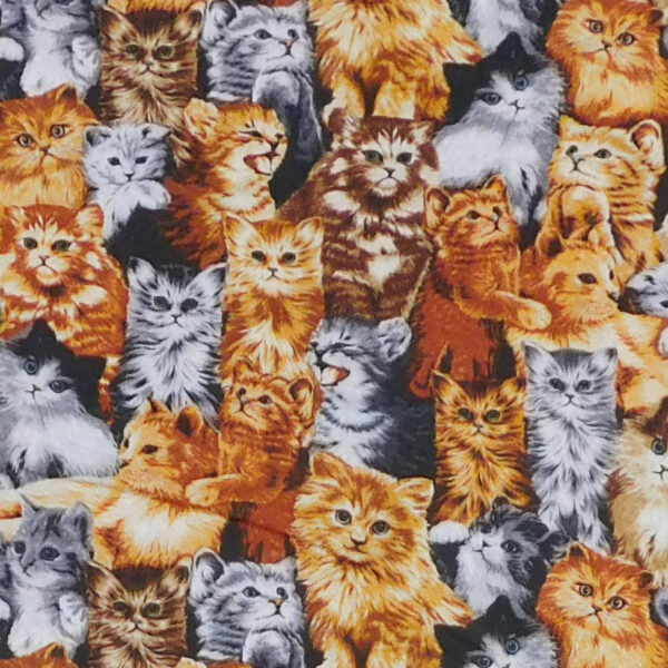 Quilting Patchwork Sewing Fabric Purr-Fect Kittens 50x55cm FQ Material