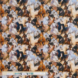 Quilting Patchwork Sewing Fabric Runaway Brumbies A 50x55cm FQ