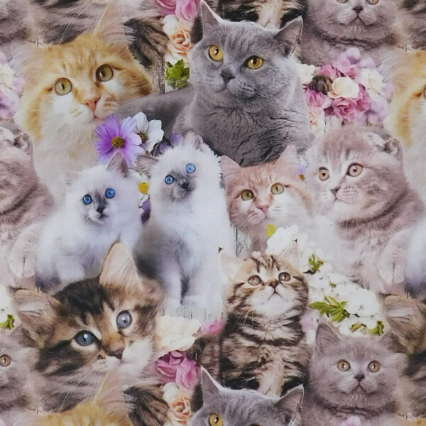 Quilting Patchwork Sewing Fabric Cute Kittens Collage 50x55cm FQ
