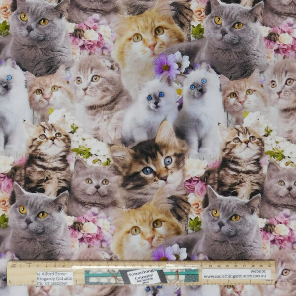 Quilting Patchwork Sewing Fabric Cute Kittens Collage 50x55cm FQ