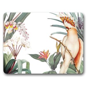 Kitchen Cork Backed Placemats AND Coasters Parrots Apricot Set 6