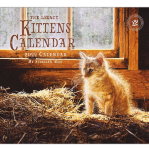 Legacy 2022 Calendar Kittens Calender Fits Lang Wall Frame