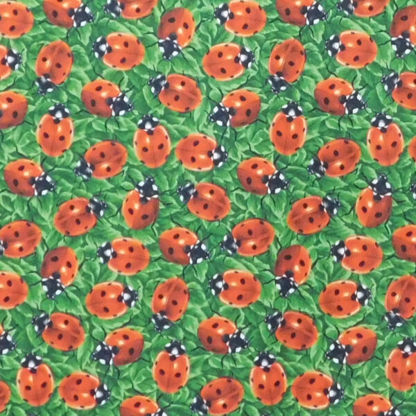 Quilting Patchwork Fabric You Bug Me Ladybug Allover 50x55cm FQ