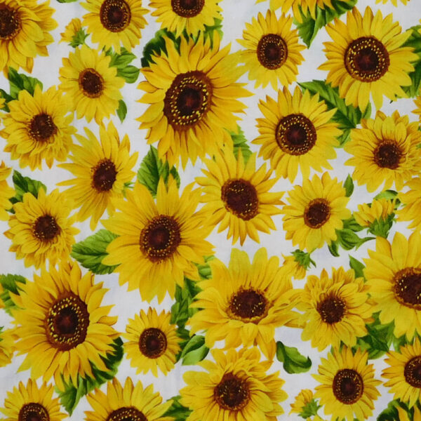 Quilting Patchwork Sewing Fabric Sunflower Garden 50x55cm FQ