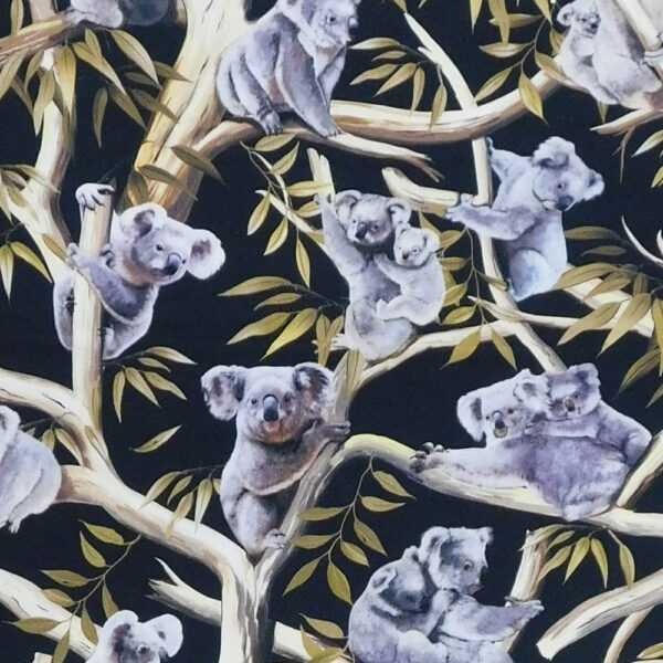 Quilting Patchwork Sewing Fabric Koalas in Tree Allover 50x55cm FQ