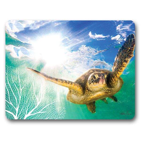 Kitchen Cork Backed Placemats AND Coasters Green Turtle Swimming Set 6