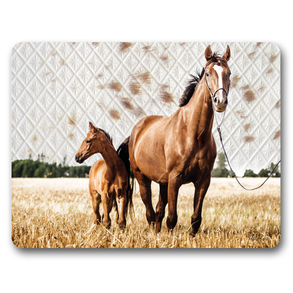 Kitchen Cork Backed Placemats AND Coasters Soul Chestnut Horses Set 6