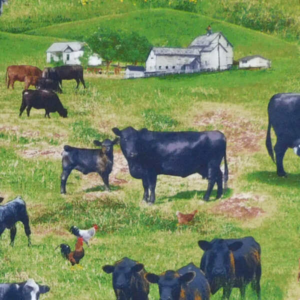 Quilting Patchwork Sewing Fabric Black Angus Cows 50x55cm FQ