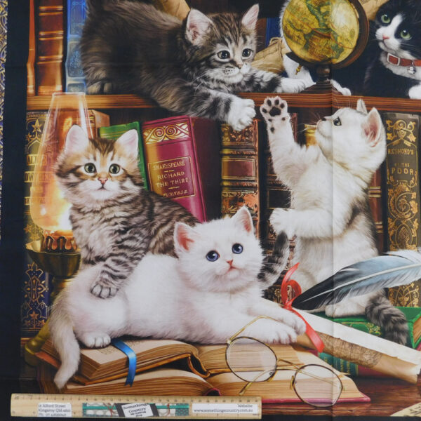 Patchwork Quilting Sewing Fabric Literary Kittens Panel 62x110cm