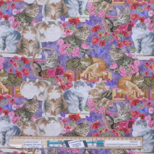 Quilting Patchwork Sewing Fabric Cats N Quilts Allover 50x55cm FQ