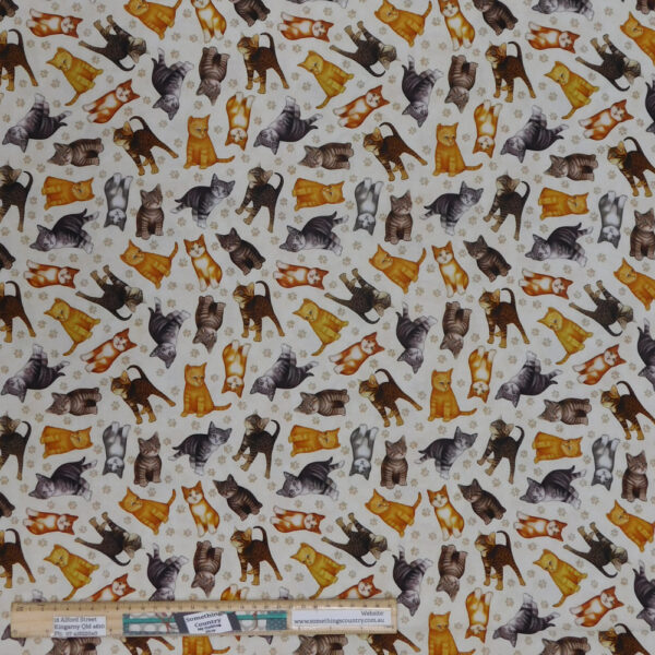 Quilting Patchwork Sewing Fabric Felicity Cats 50x55cm FQ