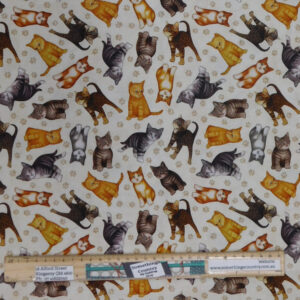 Quilting Patchwork Sewing Fabric Felicity Cats 50x55cm FQ