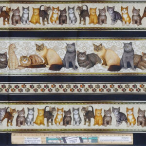 Quilting Patchwork Sewing Fabric Felicity Cat Borders 50x55cm FQ