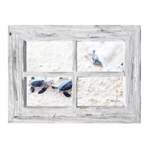 French Country Whitewash Rustic Wooden 6x4 Four Floral Photo Frame