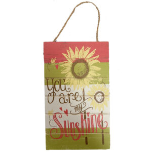 Country Wooden Hanging Sign You are My Sunshine Small Plaque