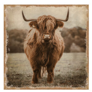 French Country Canvas Sepia Highland Cow Print on Hessian 70x70cm