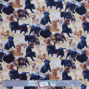 Quilting Patchwork Sewing Fabric Labrador Dogs 50x55cm FQ