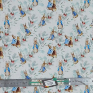 Quilting Patchwork Sewing Fabric Peter Rabbit 50x55cm FQ