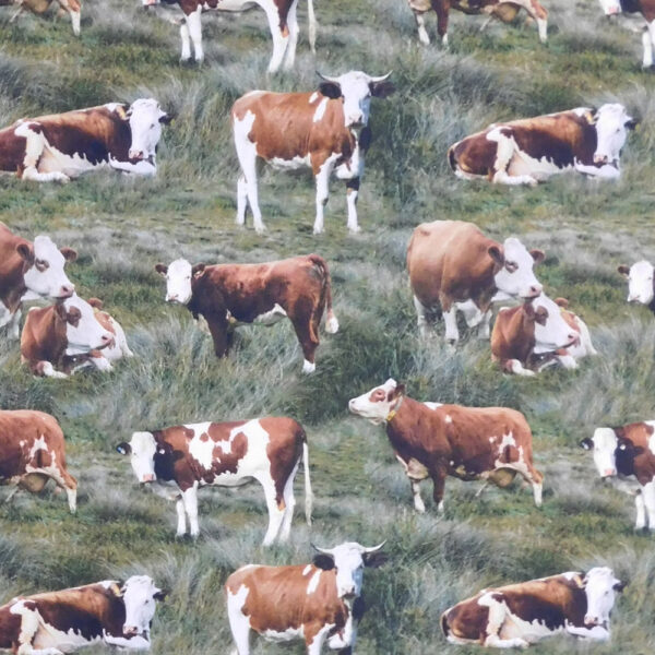 Quilting Patchwork Sewing Fabric Hereford Cows 50x55cm FQ