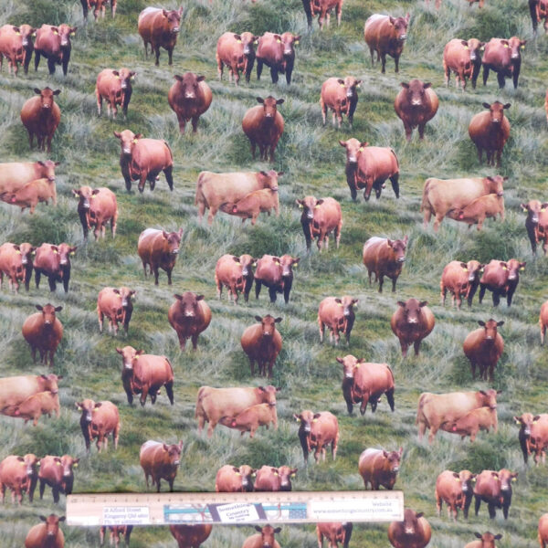 Quilting Patchwork Sewing Fabric Red Angus Cows 50x55cm FQ