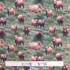 Quilting Patchwork Sewing Fabric Red Angus Cows 50x55cm FQ