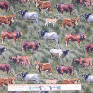 Quilting Patchwork Sewing Fabric Brahman Cows 50x55cm FQ