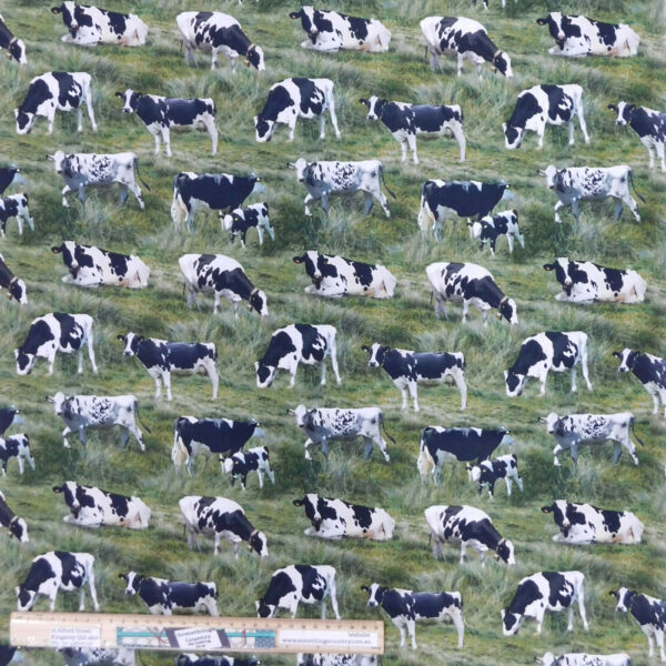 Quilting Patchwork Sewing Fabric Freesian Cows 50x55cm FQ