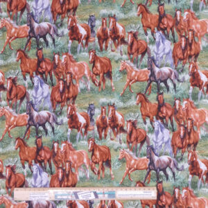Quilting Patchwork Sewing Fabric Wild and Free Horses 50x55cm FQ