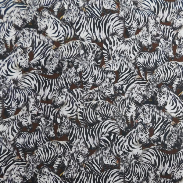 Quilting Patchwork Sewing Fabric Jangala Zebras 50x55cm FQ