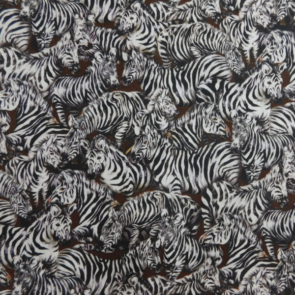 Quilting Patchwork Sewing Fabric Jangala Zebras 50x55cm FQ