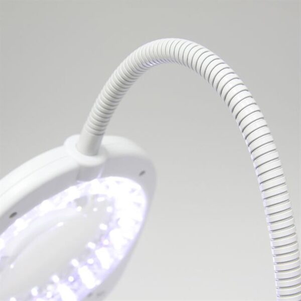 Triumph Arch LED Floor or Desk Lamp with Magnifier