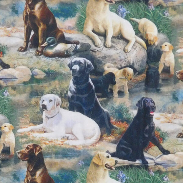 Patchwork Quilting Fabric Best Breed Dogs Allover 50x55cm FQ