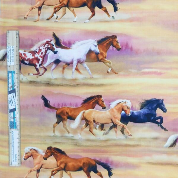 Patchwork Quilting Sewing Fabric Horses in the Sun Material 50x55cm FQ