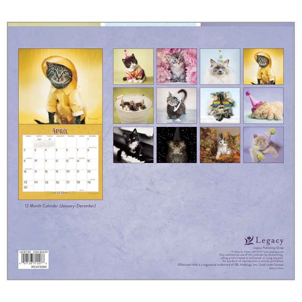 Legacy 2023 Calendar Cool Cats Calender Fits Wall Frame