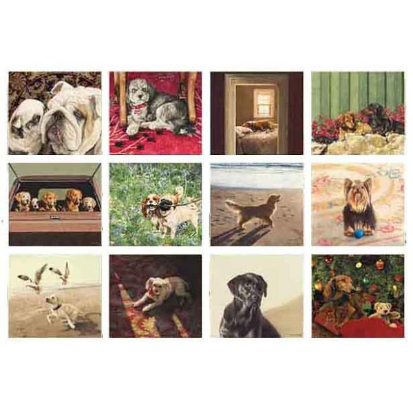 Legacy 2023 Calendar Dogs We Love Calender Fits Wall Frame